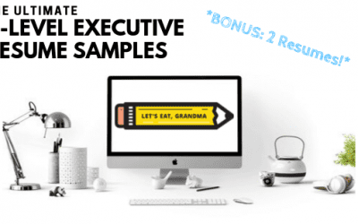 2 Exceptional Executive Resume Examples (with Writing Guide!)